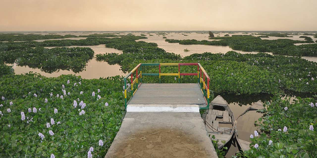 Harike Wildlife Sanctuary, Amritsar