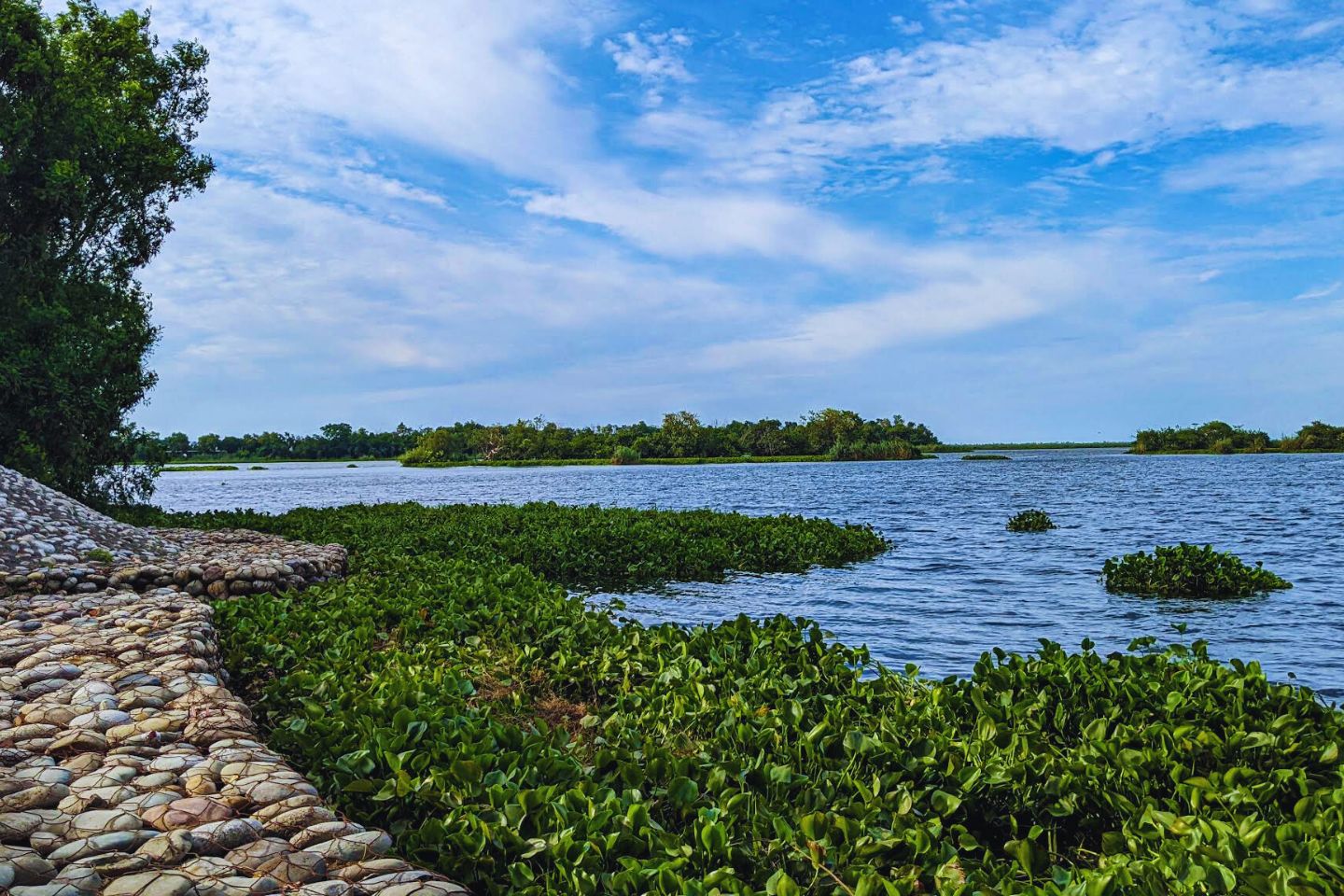 Harike Wetland and Bird Sanctuary Amritsar